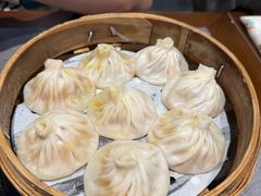 -莱莱小笼·乔艾