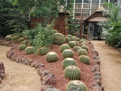 -呀路古热带植物园