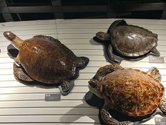 -昆明动物博物馆