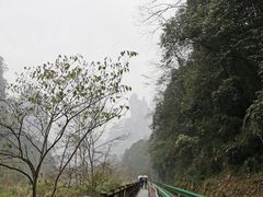 -十里画廊