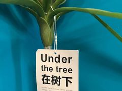 -荒岛实景沉浸密室(江汉路1店)