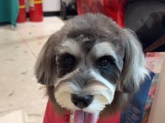 -FAELING PETS美天灵宠物(合生汇店)