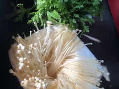 金针菇-渝利重庆火锅