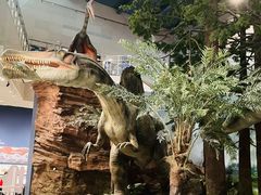 -湖南省地质博物馆