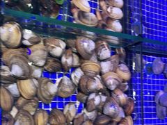 -青蓬蒸汽海鲜·深圳老字号·团建聚会(壹方城店)