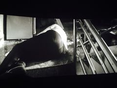 海上国际影城(月星环球港店)-AMG海上明珠影城(上海环球港RealDCinema店)