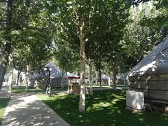 -九十九顶毡房(阜石路店)