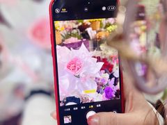 -Flower in(密渡桥店)