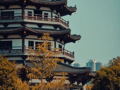 -洋湖国家湿地公园