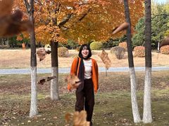 -长春世界雕塑园冰雪艺术天地