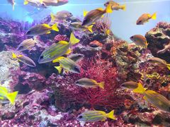 -海合安青岛极地海洋公园