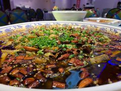 来凤鱼-新概念来凤鱼(璧山店)