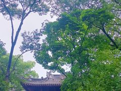 -天一阁博物院
