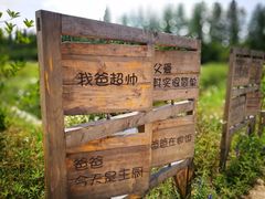 -前小桔亲子创意农场·草莓采摘·露营烧烤