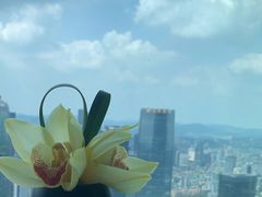 -广州柏悦酒店·悦景轩·粤菜餐厅