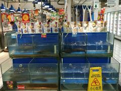 -欧尚(扬州商城江阳中路店)