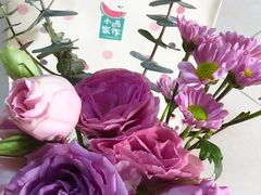 -小西家作(富力爱丁堡店)