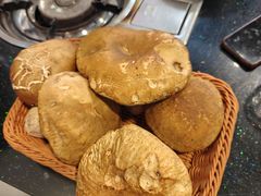 -草墩罗非鱼庄•野生菌•腊排骨(七星街上段店)