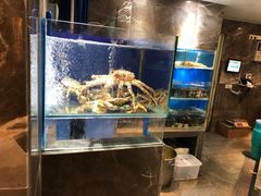 水产区-德米火锅(深圳湾1号旗舰店)