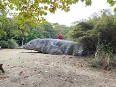 -上海吴淞炮台湾国家湿地公园