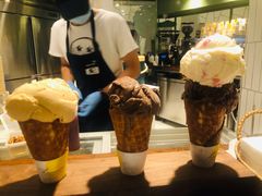 黑巧克力冰淇淋-LUNEURS月乐诗 冰淇淋咖啡(环贸店)