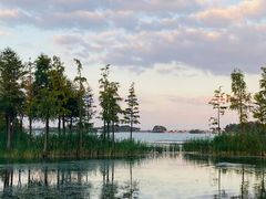 -贡湖湾湿地公园