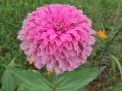 -福建鲤鱼洲酒店