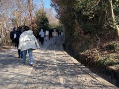 -紫金山山顶公园