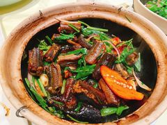黄鳝啫啫煲-惠食佳(滨江大公馆店)