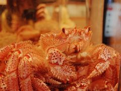 景观位-蟹道乐(道顿堀本店)