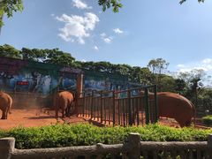 -昆明动物园