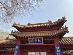 -桃花堤公园