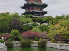 -迎泽公园