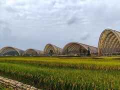 -中国天府农业博览园