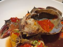 -甄御•海鲜新青岛菜(麦岛店)