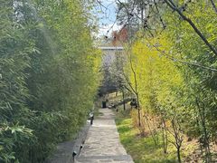 -松赞丽江山居餐厅