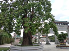 -广东圆玄道观