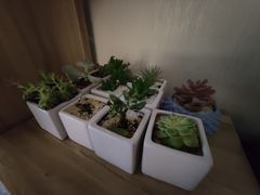 -蜜蜂读书·24h自习室(角门西店)