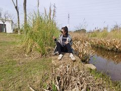 -上海长兴岛郊野公园