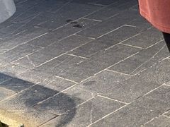 -凤竹园(修水店)