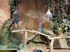 -zoonana室内动物园(东方福来德店)