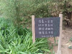 -云峰山自然风景区