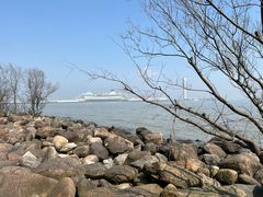 -上海吴淞炮台湾国家湿地公园