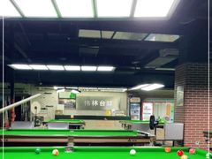 -伟林台球(力帆店)