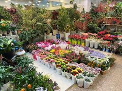-双季花艺园艺市场(浦东店)
