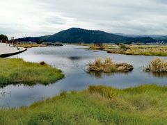 -腾冲北海湿地