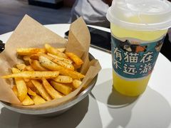 -猫儿山۰猫主题餐厅