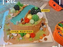 多肉奇境·海盐奥利奥蛋糕-FALANC CAKE生日蛋糕(广州店)