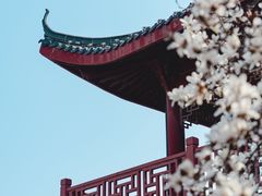 -堤角公园