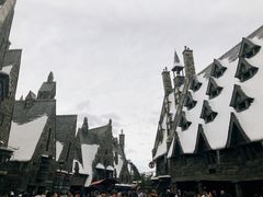 -哈利波特魔法世界
